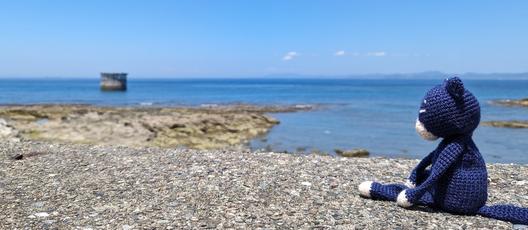 海辺のあみねこ